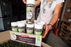 Article herbes sauvages